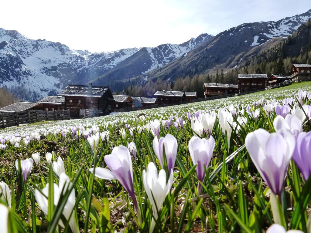 Die Natur Residenz Innervillgraten Εξωτερικό φωτογραφία